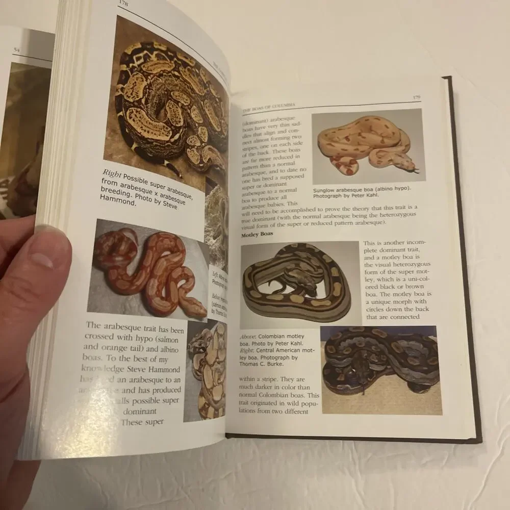 Complete Boa Constrictor: A Comprehensive Guide to the Care, Breeding 2007 HC